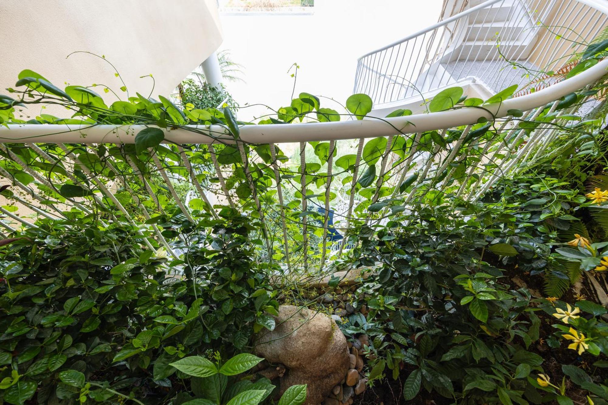 Saha Casa Boutique Hotel Đà Nẵng Exterior foto